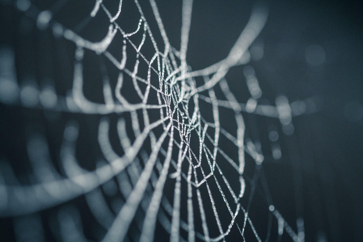 Weaving Our Next Web