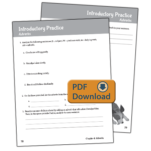 Well-Ordered Language Level 1B Extra Practice & Assessments